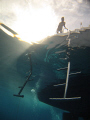   guess crew here distorted surface waves was wondering what heck doing hanging about near ladders coming another round pancakes norm after first dive day liveaboard  